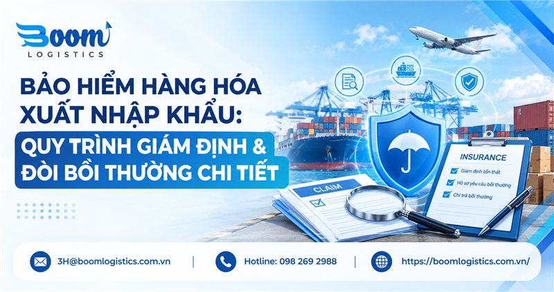 Bảo Hiểm Hàng Hóa Xuất Nhập Khẩu: Quy Trình Giám Định & Đòi Bồi Thường Chi Tiết