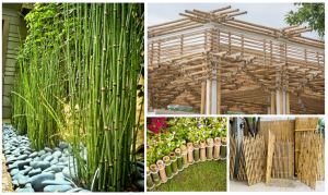 Screenshot 1735494584